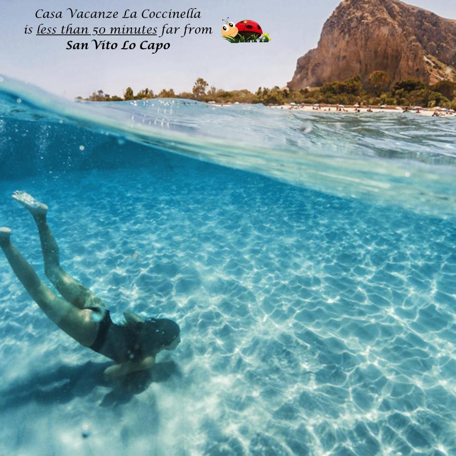 Casa Vacanze La Coccinella 特拉帕尼 外观 照片